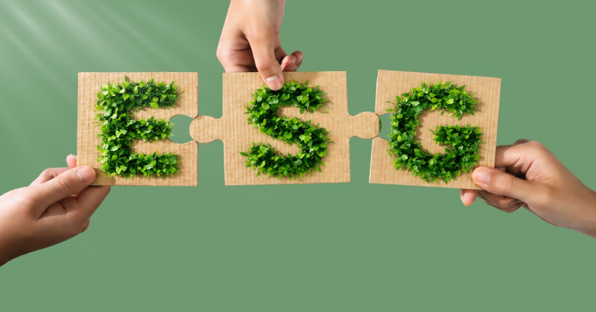 บรรจุภัณฑ์ลูกฟูกกับ ESG อะไรที่อ้างในรายงานได้จริง