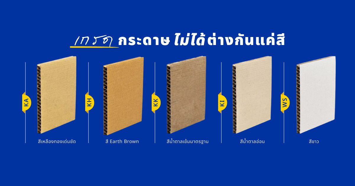 แผ่นกระดาษลูกฟูก 5 เกรด KA KH KK KI WS เทียบสีผิวกระดาษของแต่ละเกรด