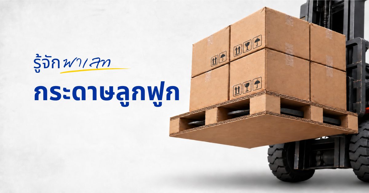 พาเลทกระดาษลูกฟูก รับน้ำหนักได้เท่าไหร่ และใช้แทนพาเลทไม้ได้จริงไหม